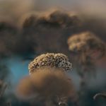 @james_leckie_photography - Instagram