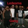 J Ledesma - @jamesledesma996 - TikTok