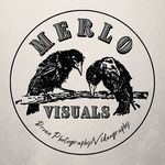 James Ledonne - @merlo_visuals - Instagram