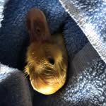 James LeDuc - @jamesleduc123 - Instagram