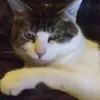 James LeDuc - @james.leduc - TikTok