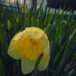 james leedy - @jmleedy3231 - Instagram