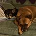 James Leep - Facebook
