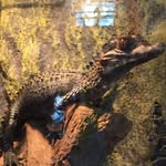 James Leetch - @james.leetch - Instagram