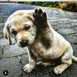 James kristain gage lego - @gage_lego - Instagram