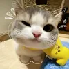 james __leh - @jamiatussholehale - TikTok