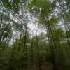 jameslehner508 - @jameslehner508 - TikTok