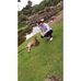 James Lehane - Facebook