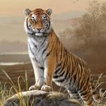 Peter James Lehane - @lehanepeter - Instagram
