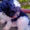 James Lebble - @james.lebble - TikTok
