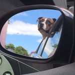 James Leiper - @james.leiper - Instagram