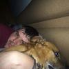 Bubbadog - @jamesleiper - TikTok