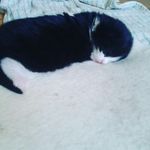 James Leishman - @_james_216 - Instagram