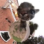 James Leitch - @jamesleitch_ - Instagram