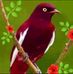 James Lemos - Facebook