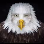 @lenoir_james_backup - Instagram