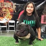 James Leone - @immortalkennels2 - Instagram
