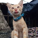 JA M ES Leopoldo - @jame_sleopoldo - Instagram