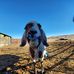 James Letcher - Facebook
