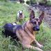 James Letcher - Facebook