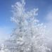 James Letcher - Facebook