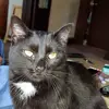 James Letts - @user640996772 - TikTok