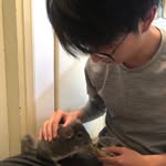 James Leung - @james_leungkc - Instagram