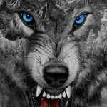 anthony james levandowski - @completly_sane_not - Instagram