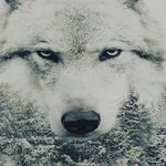 James Joseph - @jameslevasseur15 - Instagram