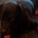 James Llewellyn - @james.llewellyn.132 - Instagram