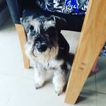 James Leyland - @jamesray.leyland - Instagram