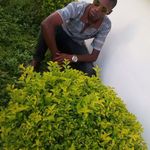 Liberator James - @jamesliberator - Instagram