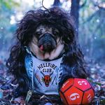 Landon James Licari - @landon_licari2013 - Instagram