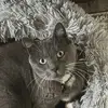 Daniel James Licciardi - @licciardi759 - TikTok
