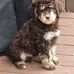 James Lichliter - Facebook