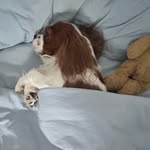 James Lidington - @pandamanianism - Instagram