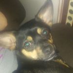 JamesLieberth - @jameslieberth - Instagram