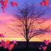 James Liesen - Facebook