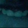 james.is.4lifer - @james.is.4lifer - TikTok