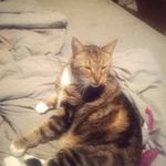Bubba James lightning Peterson - @bubbajamespeterson - Instagram