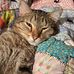 James Lightsey - Facebook