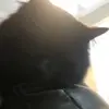 jameslindgren822 - @jameslindgren822 - TikTok