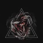 James Lingerfelt - @lingerdonger - Instagram