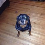James Linklater - @j_j_link - Instagram