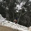 jameslinklater660 - @jameslinklater660 - TikTok