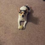Robert James Litchfield - @robertlitchfield - Instagram