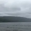 jameslittlehales6 - @jameslittlehales6 - TikTok