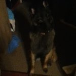 Broc James Livengood - @bork_is_my_nickname - Instagram
