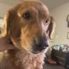 jamesliverette355 - @jamesliverette355 - TikTok