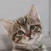 james Llano - @james.llano2 - TikTok
